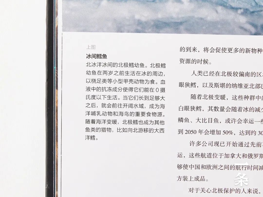 首发 | Netflix&BBC神作同名书,170余幅超清大图,见地球之美 首发 | Netflix&BBC神作同名书,170余幅超清大图,见地球之美