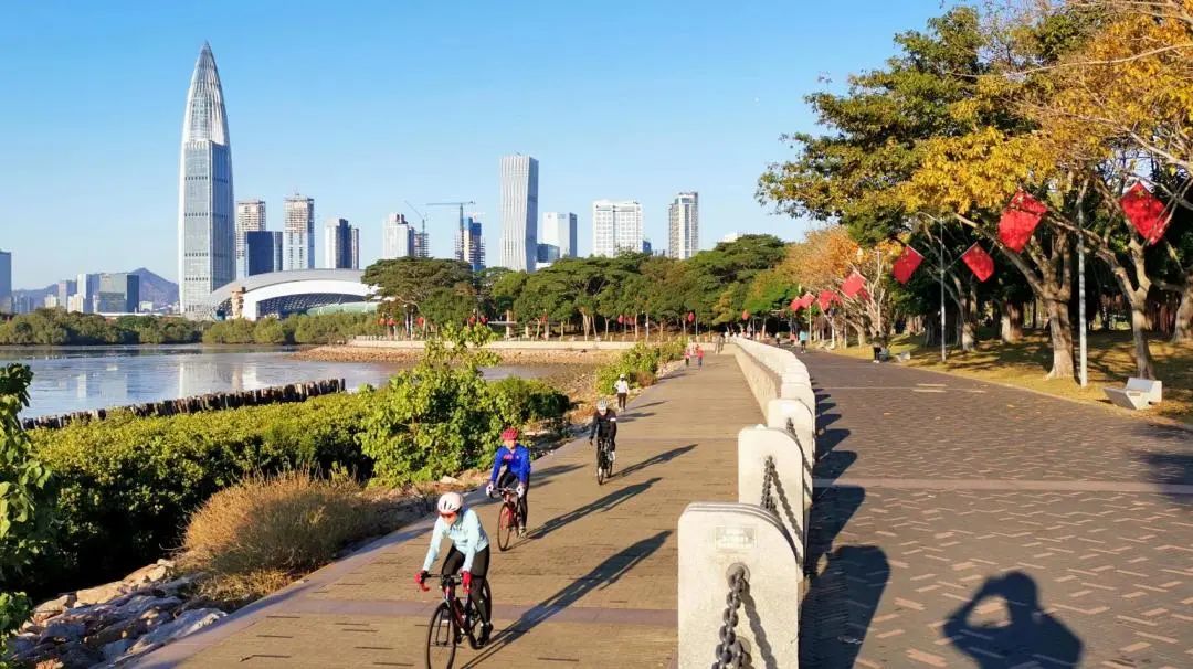 深圳力 | 城市如何为公众设计？