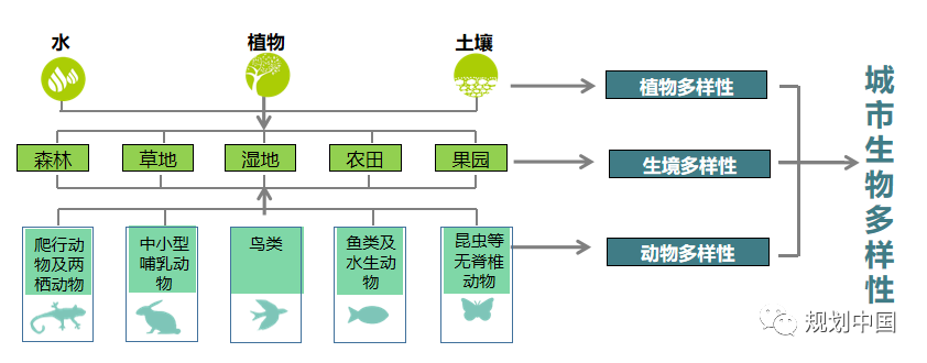 基于生物多样性保护的城市蓝绿空间规划设计