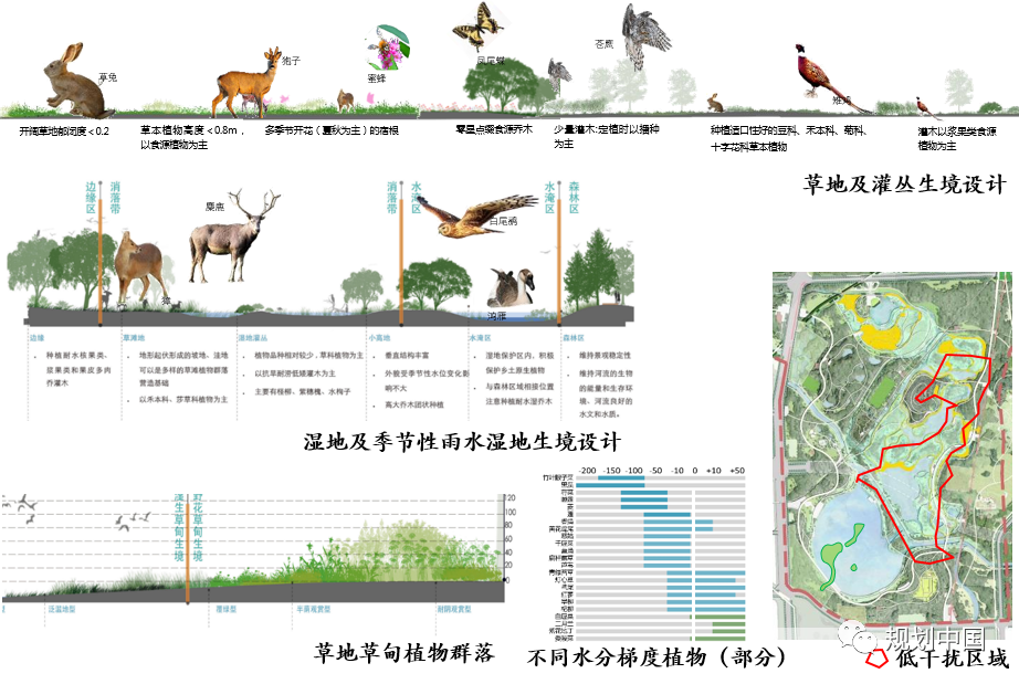 基于生物多样性保护的城市蓝绿空间规划设计