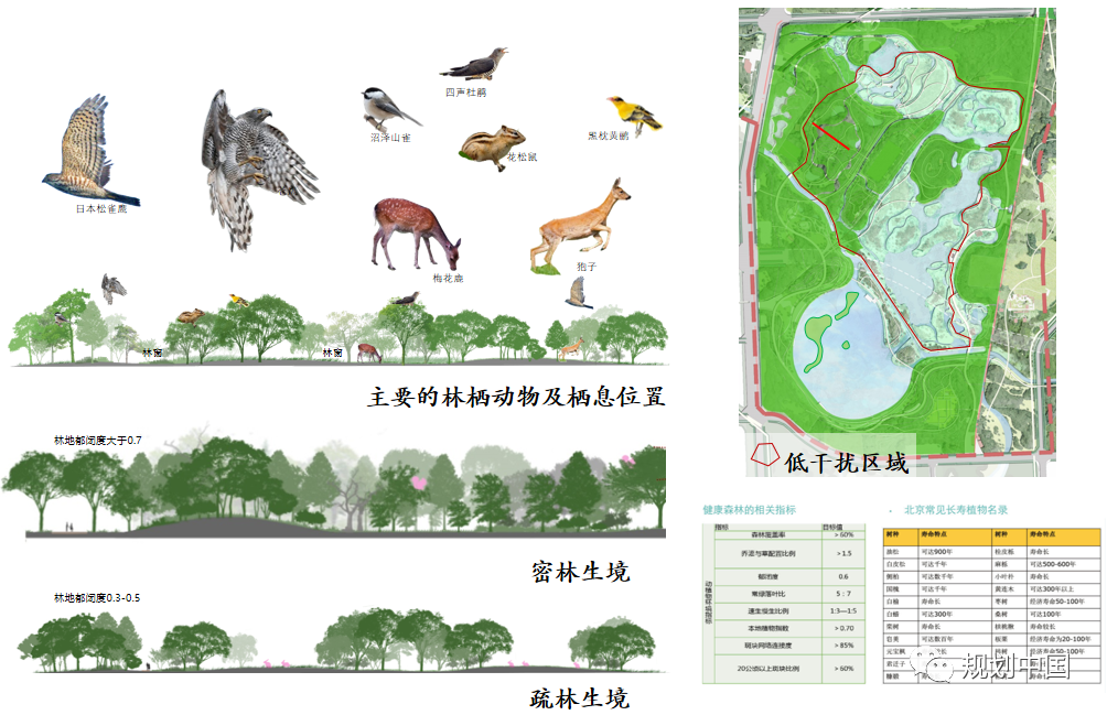 基于生物多样性保护的城市蓝绿空间规划设计