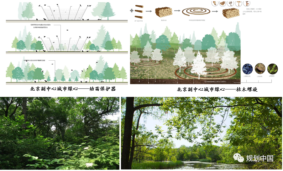 基于生物多样性保护的城市蓝绿空间规划设计