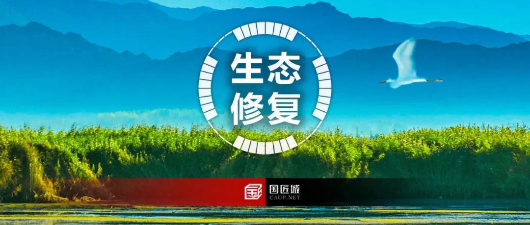十四五期间国土空间生态修复规划案例分享~ 十四五期间国土空间生态修复规划案例分享~