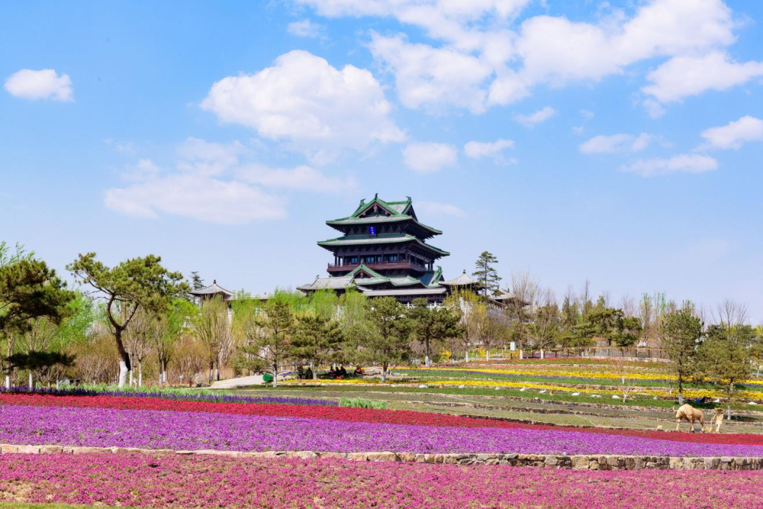 北京世界园艺博览会园区 —— 巧借绿水青山 慧筑美丽家园 北京世界园艺博览会园区 —— 巧借绿水青山 慧筑美丽家园