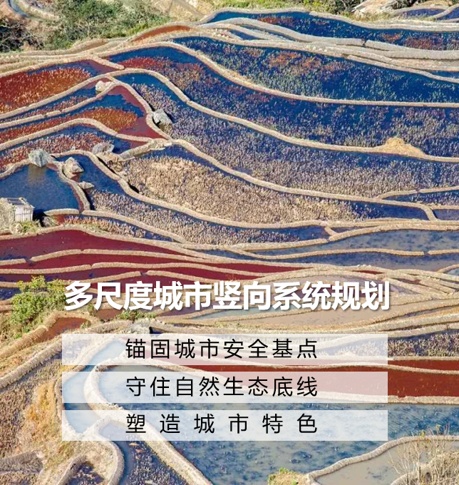 什么是多尺度城市竖向系统规划？