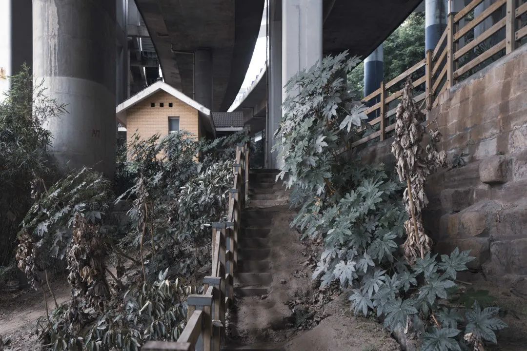 牛角沱滨水公园:一座深藏地下13年的遗址公园传说 牛角沱滨水公园:一座深藏地下13年的遗址公园传说