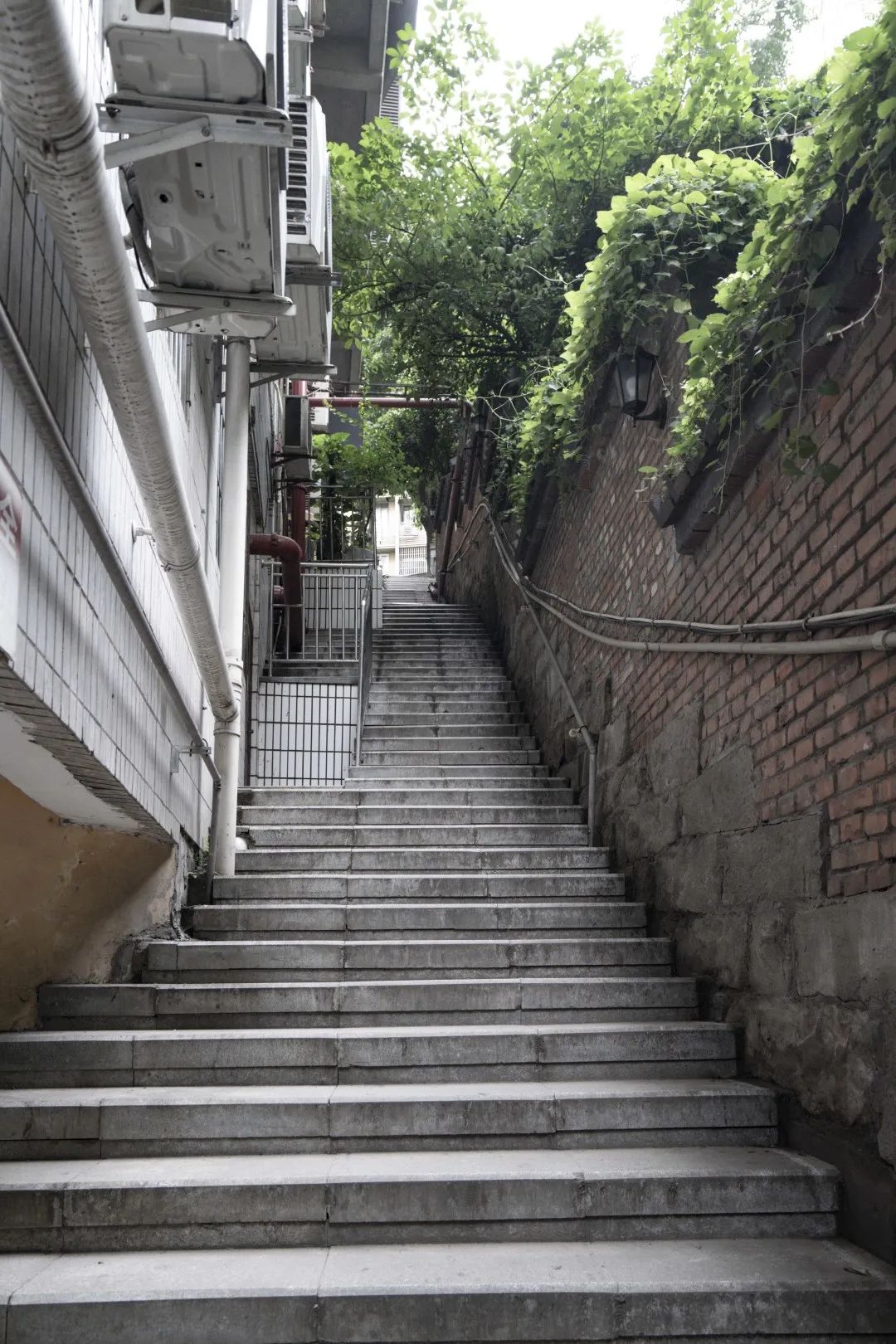 牛角沱滨水公园:一座深藏地下13年的遗址公园传说 牛角沱滨水公园:一座深藏地下13年的遗址公园传说