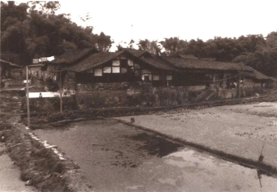 【讲堂实录】第23期:论考古遗产保护利用|杜金鹏 【讲堂实录】第23期:论考古遗产保护利用|杜金鹏