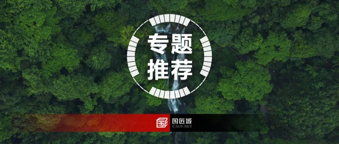 市县国土空间规划中的分区分类标准思考