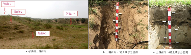 张凤荣等：基于地学规律的科尔沁沙地土地整治与生态修复规划方法