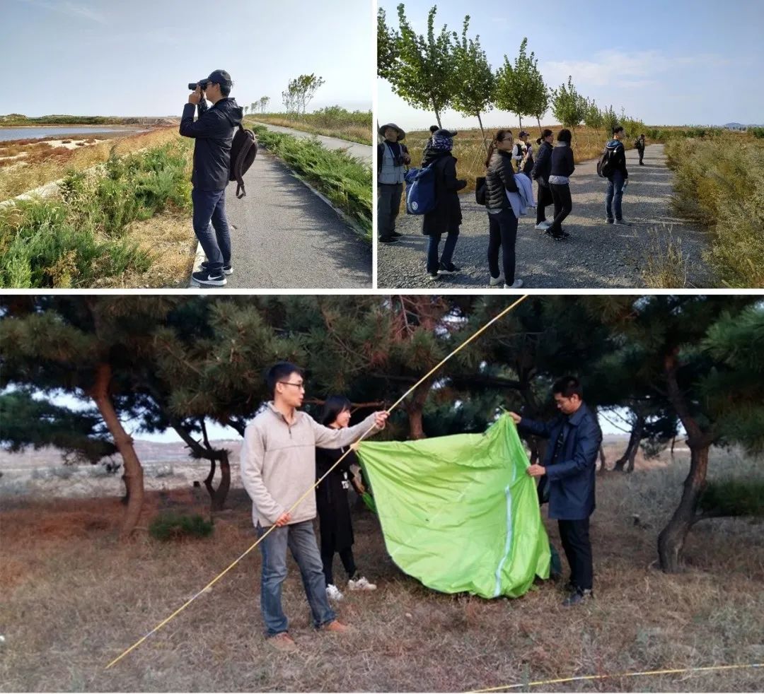 践行绿色发展理念 共同建设美丽中国——清华同衡探路生态文明实践 践行绿色发展理念 共同建设美丽中国——清华同衡探路生态文明实践