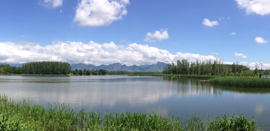 北京世界园艺博览会园区 —— 巧借绿水青山 慧筑美丽家园 北京世界园艺博览会园区 —— 巧借绿水青山 慧筑美丽家园