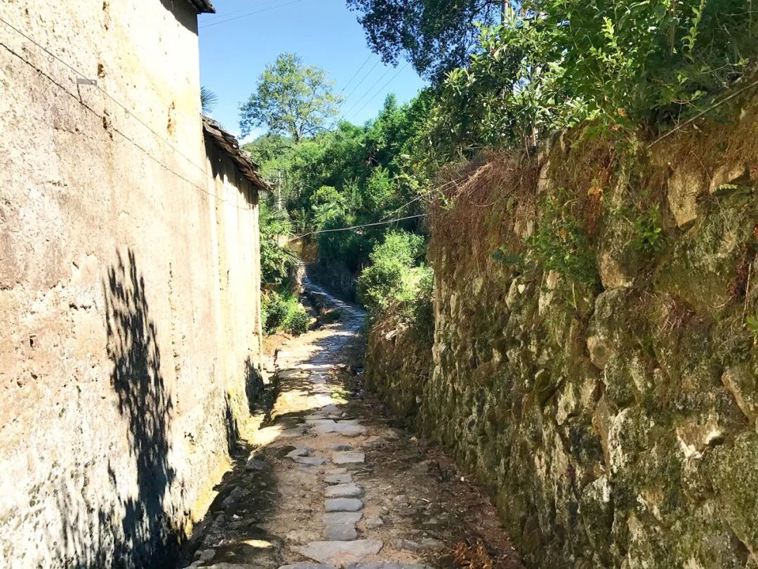 【遗珠拾粹】国家历史文化名城研究中心历史街区调研——福建省古田县前洋古村 【遗珠拾粹】国家历史文化名城研究中心历史街区调研——福建省古田县前洋古村