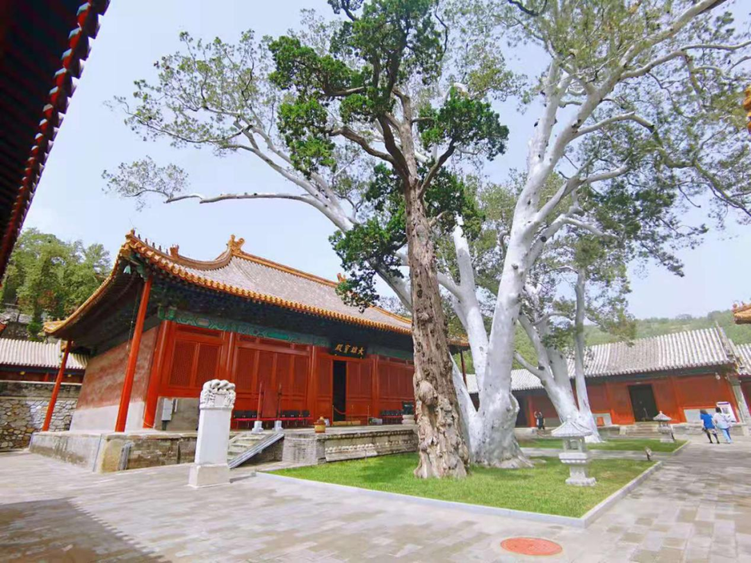 京西古道模式口 京西古道模式口