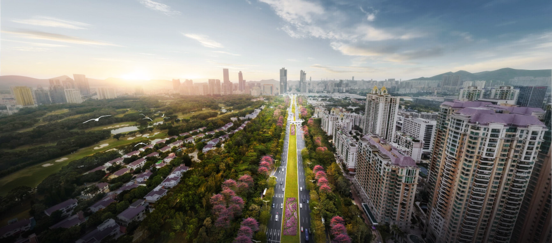 首届大湾区城市设计师专业联盟大会在南沙召开,深规院四个项目获得大奖 首届大湾区城市设计师专业联盟大会在南沙召开,深规院四个项目获得大奖