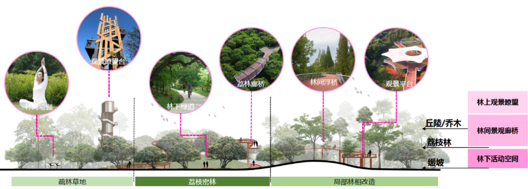 深圳新远见：光明科学城中心区设计