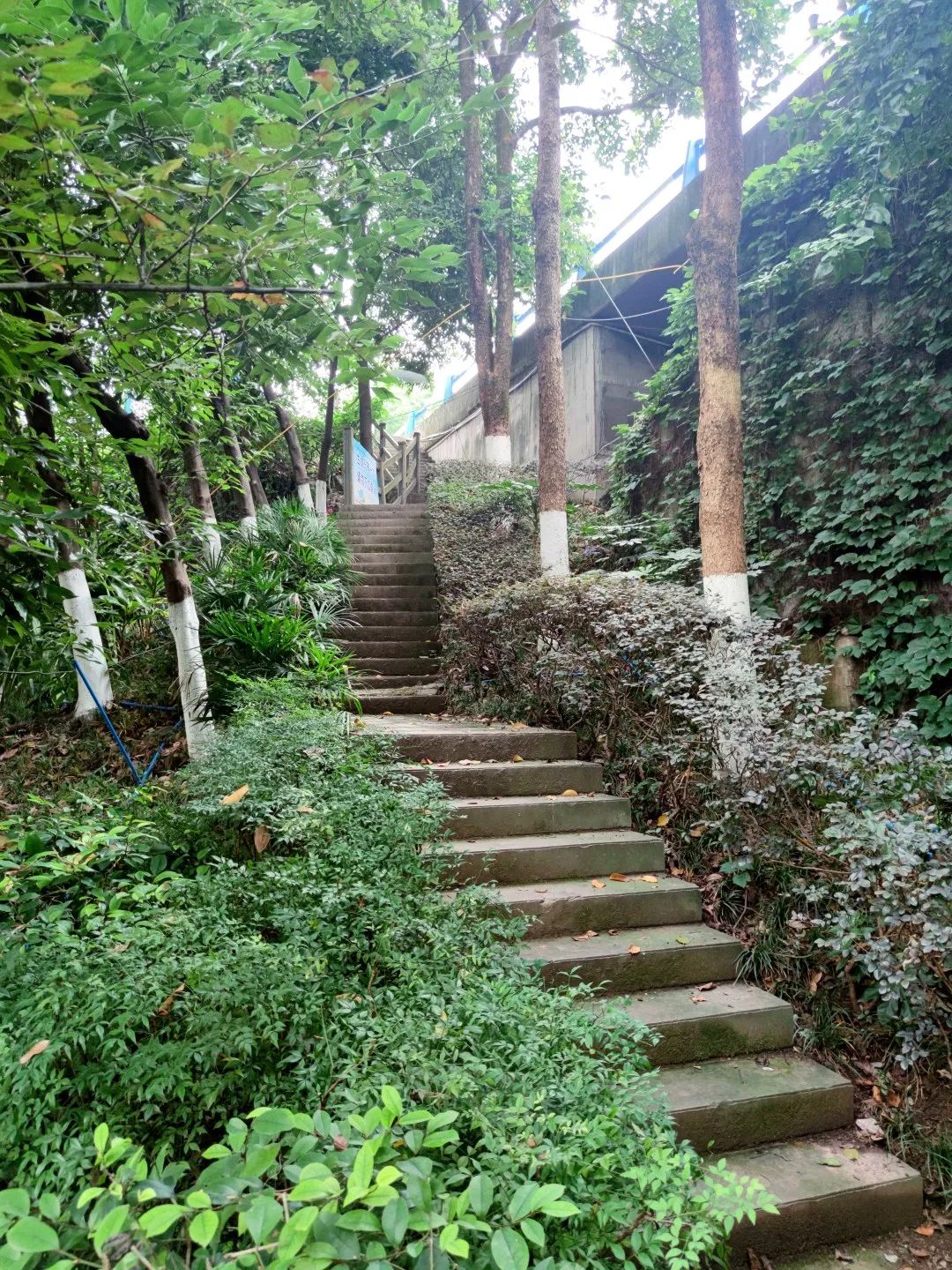 牛角沱滨水公园:一座深藏地下13年的遗址公园传说 牛角沱滨水公园:一座深藏地下13年的遗址公园传说
