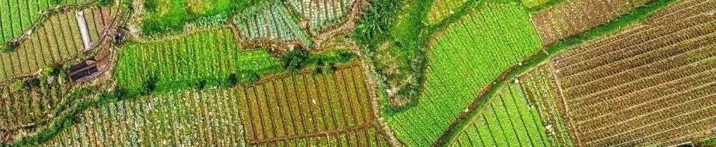 全文发布 | 李克强签署国务院令 公布修订后的《中华人民共和国土地管理法实施条例》 全文发布 | 李克强签署国务院令 公布修订后的《中华人民共和国土地管理法实施条例》