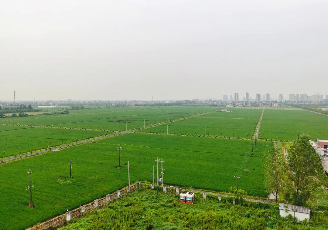 省自然资源厅调研钱塘区全域土地综合整治与生态修复工作