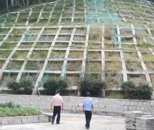 迎战14号台风“灿都”，市规划资源局全力以赴，严阵以待