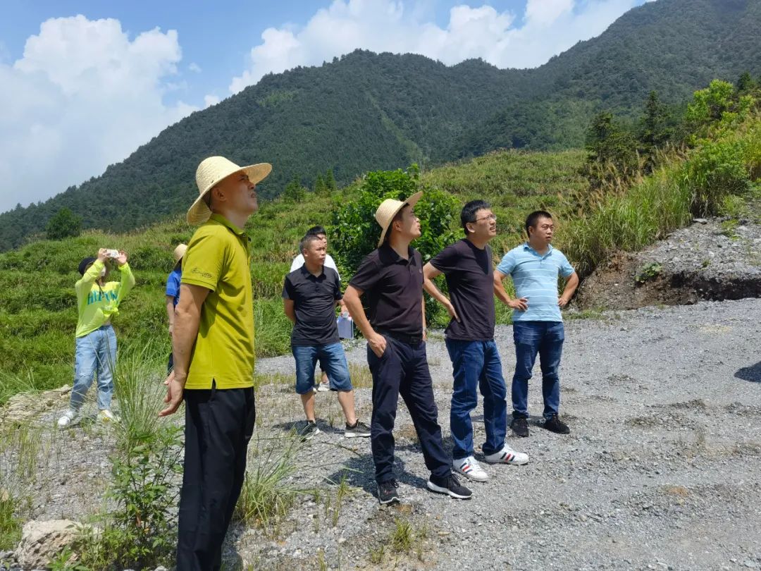开展“迎亚运”山体生态修复景观提升专项行动 厚植建德生态底蕴