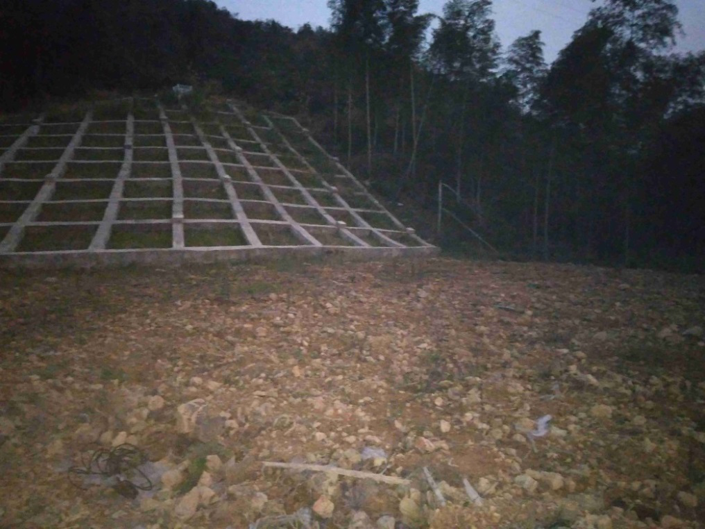开展“迎亚运”山体生态修复景观提升专项行动 厚植建德生态底蕴