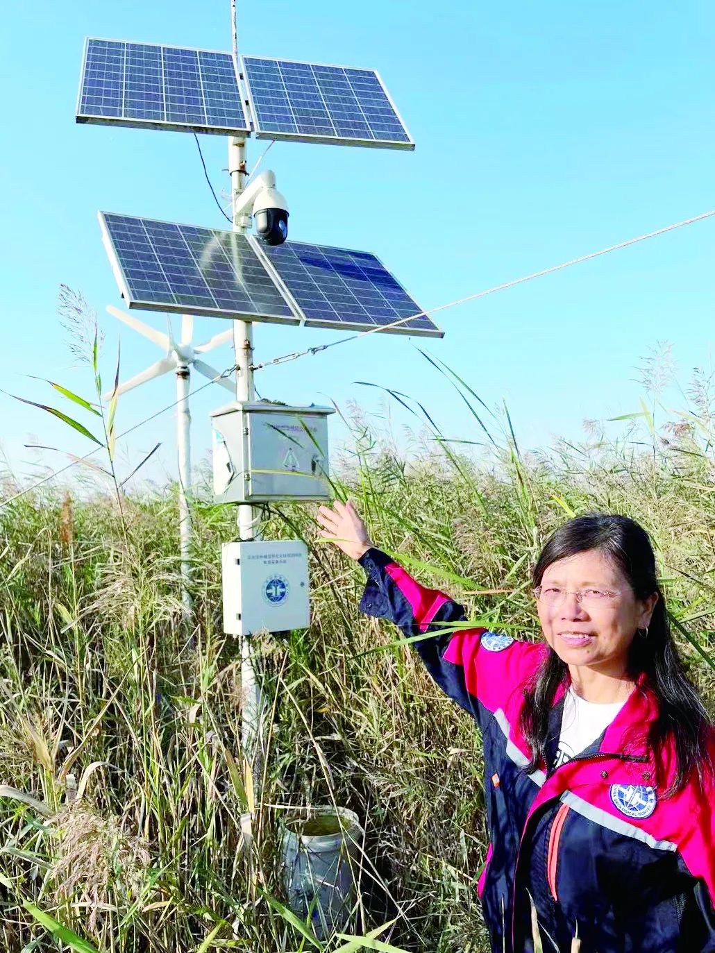 走进滨海湿地野外站，来场湿地“碳”究！