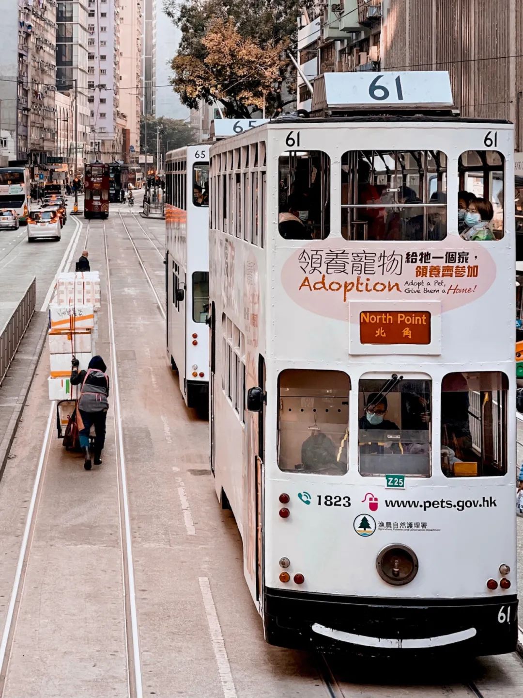 混杂与运气交织的香港城市影像