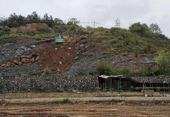 开展“迎亚运”山体生态修复景观提升专项行动 厚植建德生态底蕴