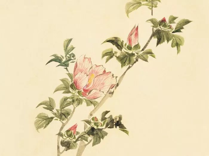 《诗经》那么美，读不懂多浪费
