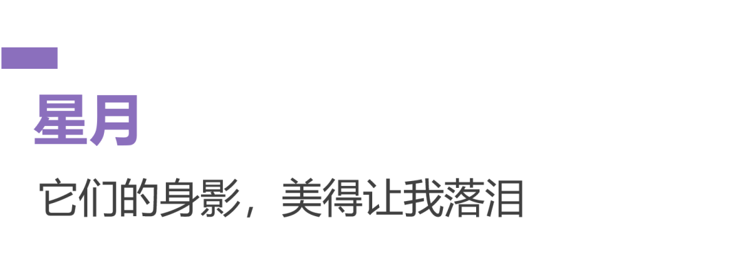 秋分：日与夜里的深圳