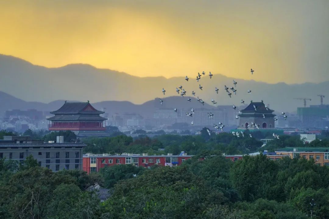 唤醒老城记忆
