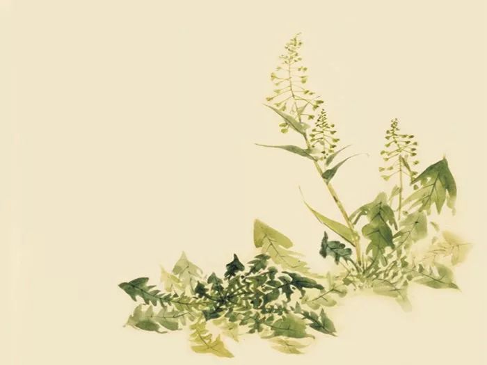 《诗经》那么美，读不懂多浪费