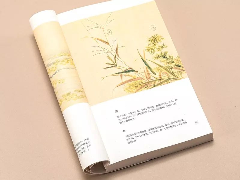 《诗经》那么美，读不懂多浪费