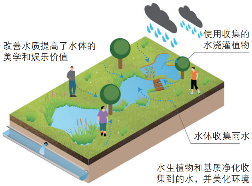 期刊精粹 | 气候变化背景下的城市水环境韧性规划研究——以新加坡为例【2021.5期优先看 · 主题】 期刊精粹 | 气候变化背景下的城市水环境韧性规划研究——以新加坡为例【2021.5期优先看 · 主题】