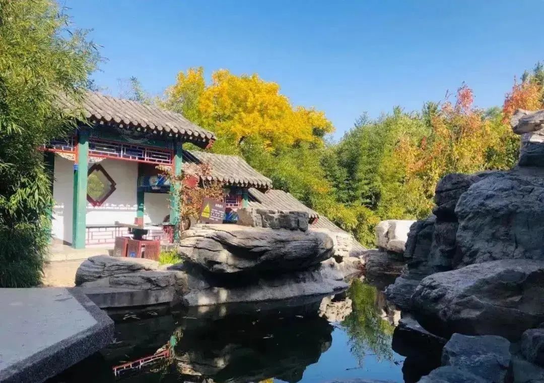 2021北京红叶观赏指南! 2021北京红叶观赏指南!