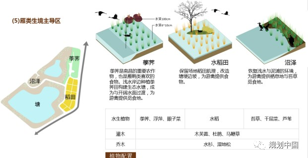 推动生态优先、绿色发展——中国城市规划设计研究院绿色城市研究所的科研与实践探索 推动生态优先、绿色发展——中国城市规划设计研究院绿色城市研究所的科研与实践探索