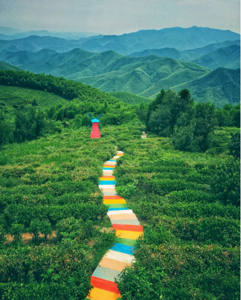 艺术乡建≠形象工程,“内核”才是硬道理 艺术乡建≠形象工程,“内核”才是硬道理