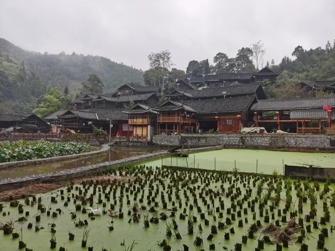 【会议观察】中国世界遗产地保护和管理的温度与维度 【会议观察】中国世界遗产地保护和管理的温度与维度