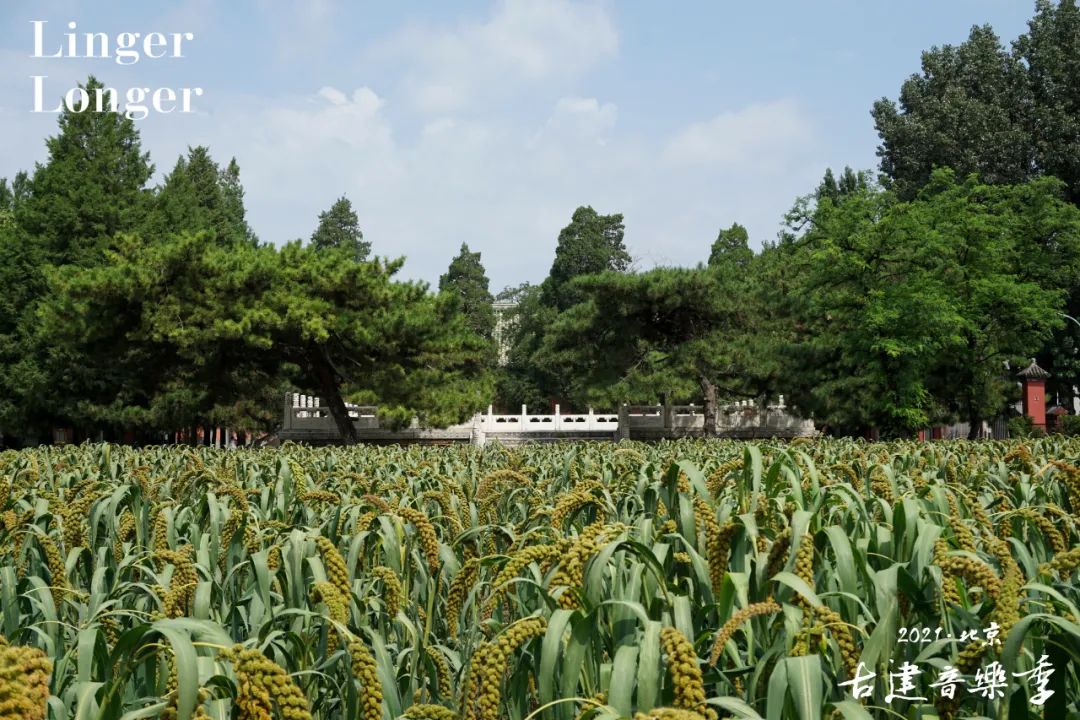 福利｜当音乐在这些古建筑里响起……