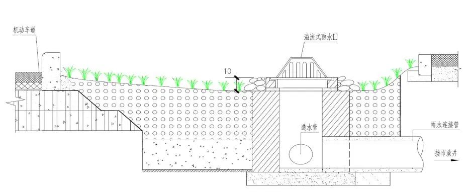 “高颜值、会呼吸”,海绵城市理念在道路建设中的应用 “高颜值、会呼吸”,海绵城市理念在道路建设中的应用