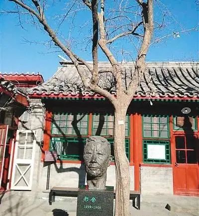 柿子红了 | 在老舍先生的“丹柿小院”展开一场循迹之旅 柿子红了 | 在老舍先生的“丹柿小院”展开一场循迹之旅