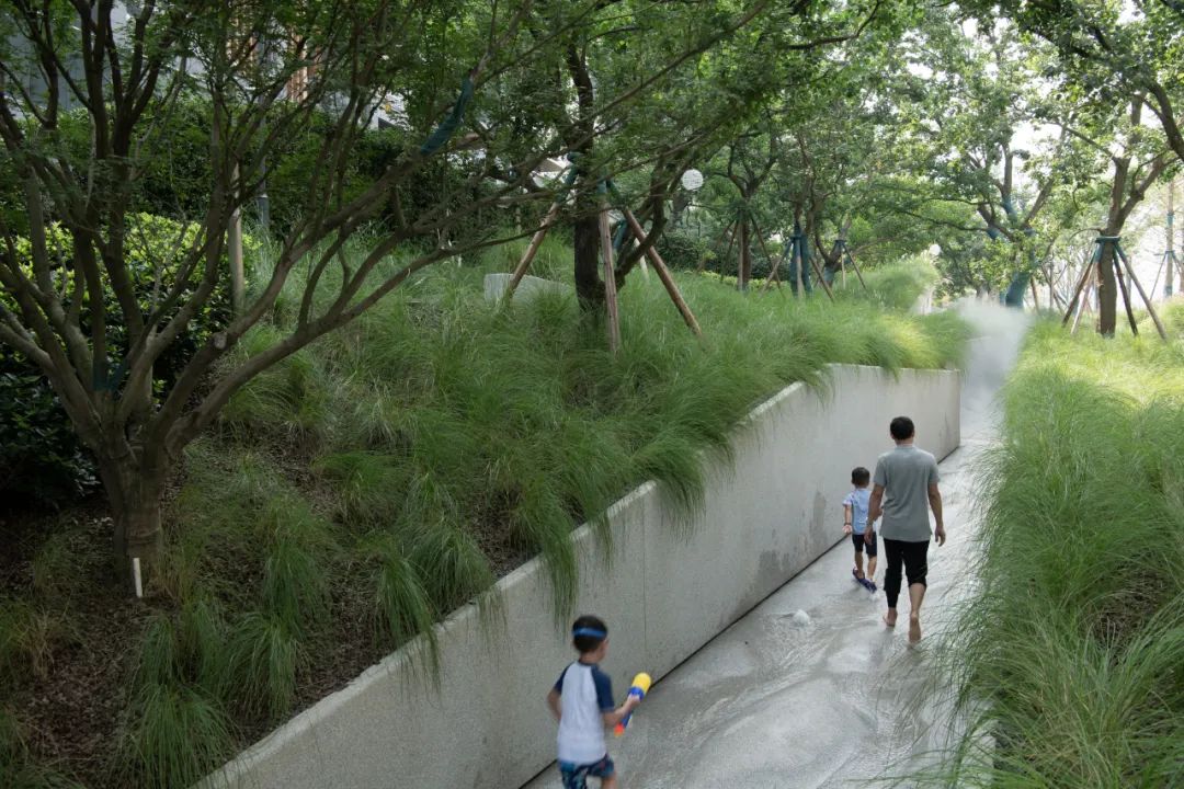 穿水公园——麓湖活水公园首开段 | Lab D+H 实践