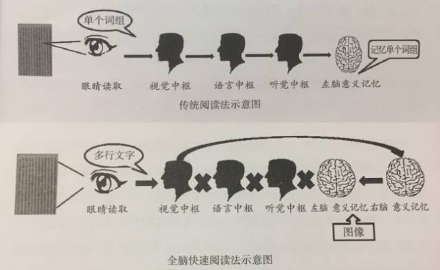 60分钟快速阅读，1年读完100本书