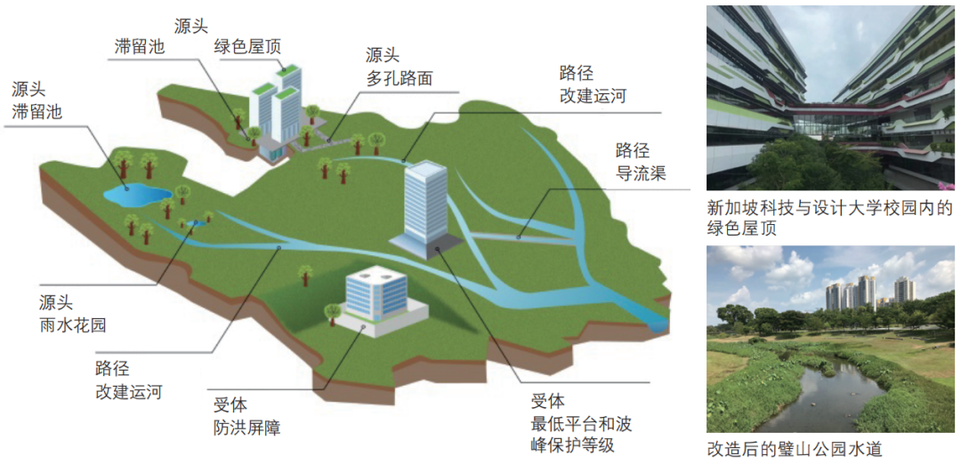 期刊精粹 | 气候变化背景下的城市水环境韧性规划研究——以新加坡为例【2021.5期优先看 · 主题】 期刊精粹 | 气候变化背景下的城市水环境韧性规划研究——以新加坡为例【2021.5期优先看 · 主题】