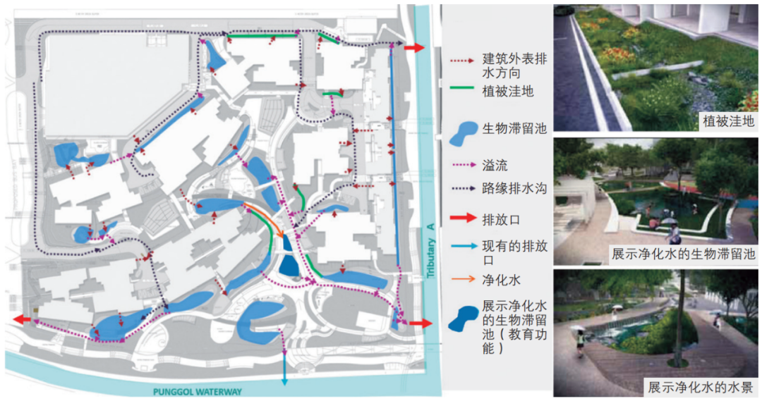 期刊精粹 | 气候变化背景下的城市水环境韧性规划研究——以新加坡为例【2021.5期优先看 · 主题】