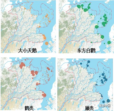 推动生态优先、绿色发展——中国城市规划设计研究院绿色城市研究所的科研与实践探索