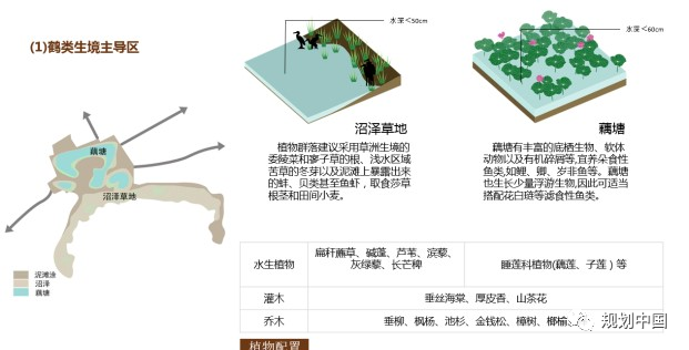 推动生态优先、绿色发展——中国城市规划设计研究院绿色城市研究所的科研与实践探索 推动生态优先、绿色发展——中国城市规划设计研究院绿色城市研究所的科研与实践探索