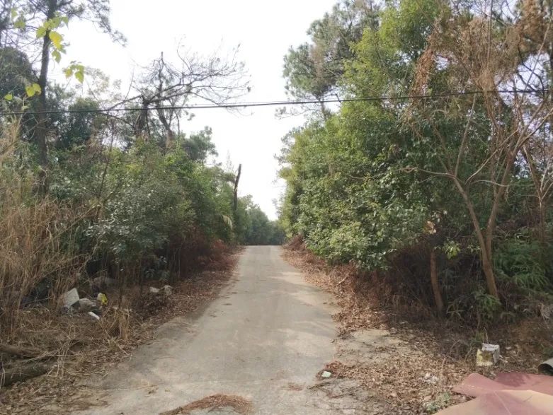 “高颜值、会呼吸”,海绵城市理念在道路建设中的应用 “高颜值、会呼吸”,海绵城市理念在道路建设中的应用
