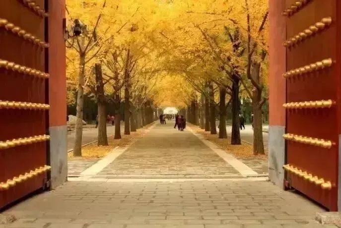 2021北京红叶观赏指南! 2021北京红叶观赏指南!